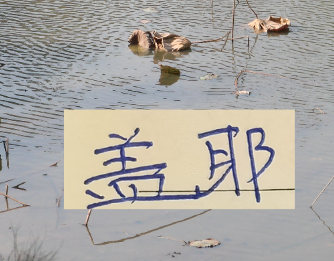 开云官方-像一堵墙的盖伊 会是申花的卢卡库 还是升级版马莱莱